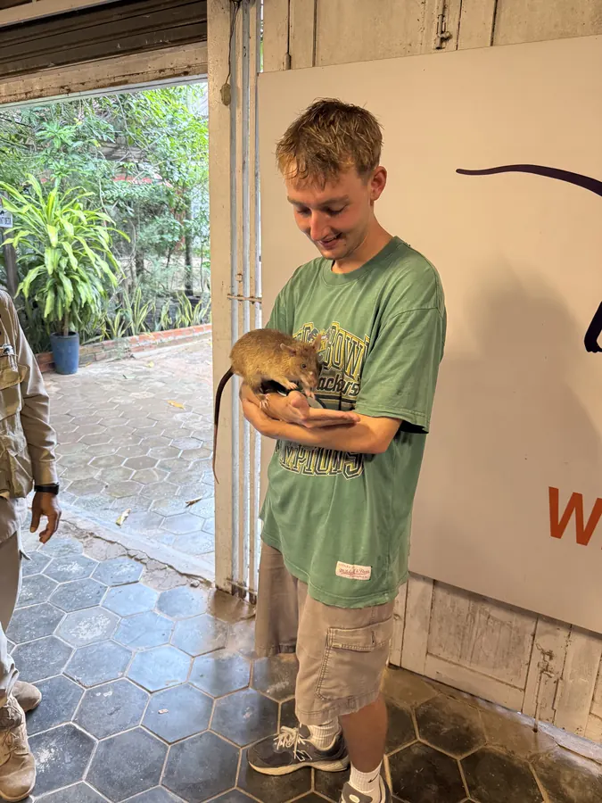 Holding one of the APOPO rats